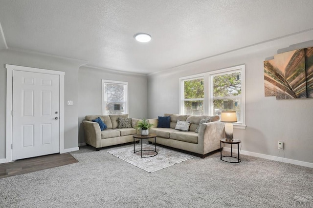 1934 E 11th St, Pueblo, CO 81001 - carpeted living room featuring baseboards and a textured ceiling