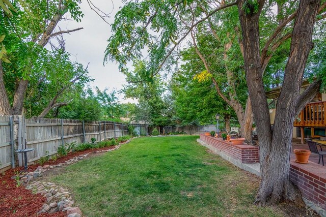 view of yard with a fenced backyard