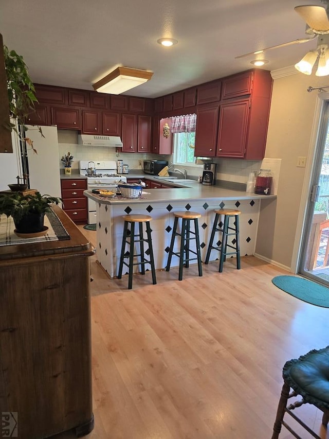 178 Macneil Pl, Pueblo, CO 81001 - kitchen featuring under cabinet range hood, a peninsula, white appliances, and light wood-style floors