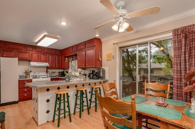 kitchen featuring ornamental molding, light wood finished floors, under cabinet range hood, and white appliances