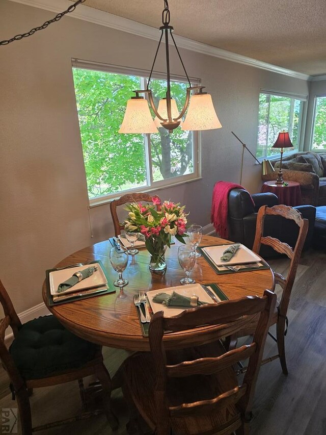178 Macneil Pl, Pueblo, CO 81001 - dining space featuring ornamental molding, a textured ceiling, baseboards, and wood finished floors