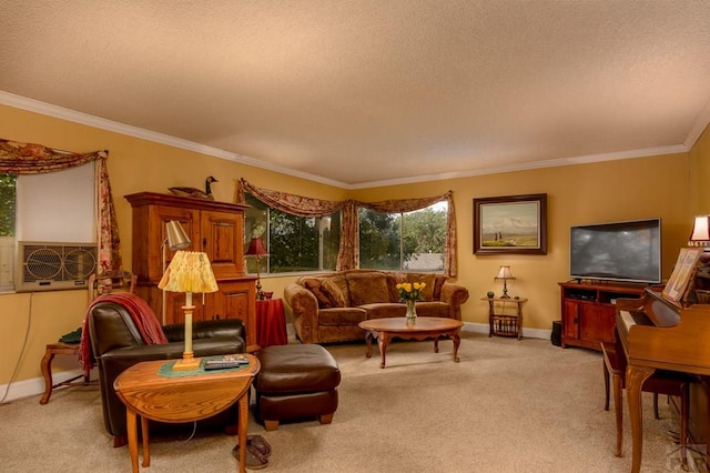 living area featuring a textured ceiling, light colored carpet, and ornamental molding