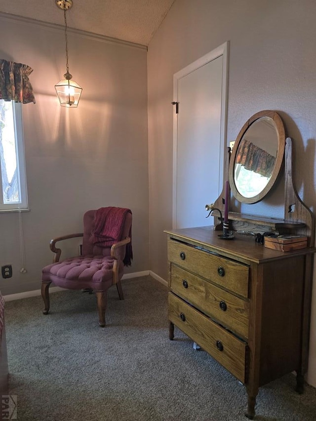 178 Macneil Pl, Pueblo, CO 81001 - living area featuring carpet flooring, a textured ceiling, baseboards, and lofted ceiling