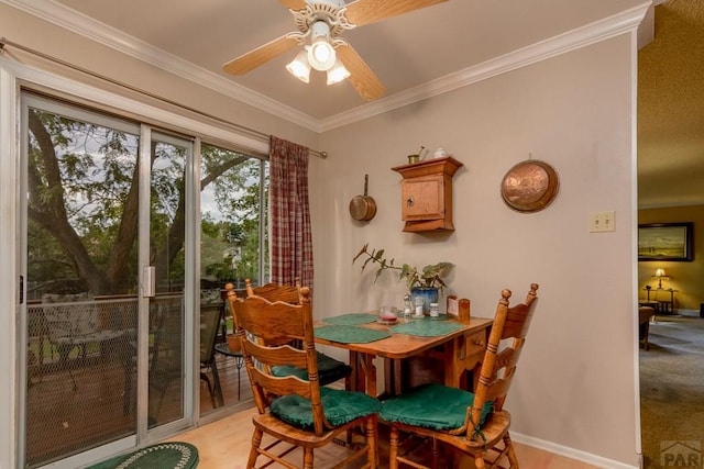 dining room with baseboards, ornamental molding, ceiling fan, and light wood finished floors