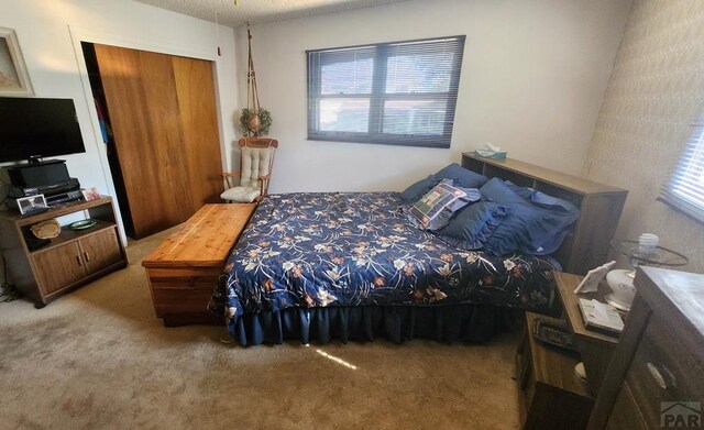 3219 Urban St, Pueblo, CO 81005 - carpeted bedroom with multiple windows and a closet