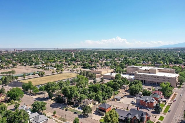 316 Broadway Ave, Pueblo, CO 81004 - photo 51