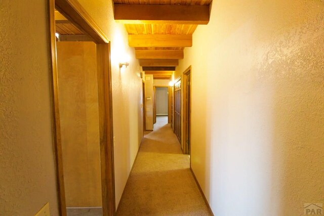 9500 County Rd 20.8, Trinidad, CO 81082 - photo 42