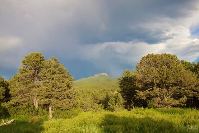 9500 County Rd 20.8, Trinidad, CO 81082 - photo 14