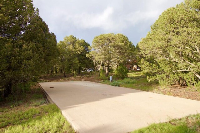 9500 County Rd 20.8, Trinidad, CO 81082 - photo 20