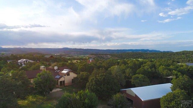9500 County Rd 20.8, Trinidad, CO 81082 - photo 8
