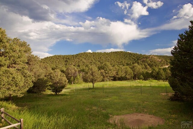 9500 County Rd 20.8, Trinidad, CO 81082 - photo 17