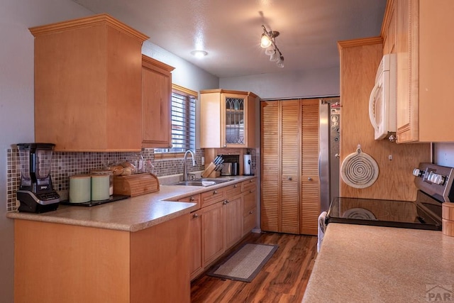 kitchen featuring dark wood-style flooring, stainless steel appliances, light countertops, light brown cabinets, and a sink