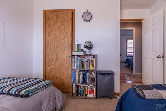 bedroom featuring a baseboard radiator, carpet flooring, and baseboards