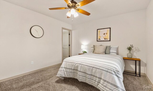 4408 Erindale Ln, Pueblo, CO 81008 - photo 24