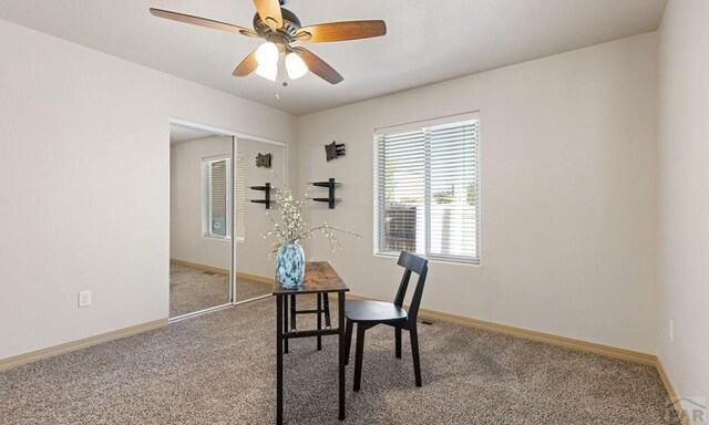 4408 Erindale Ln, Pueblo, CO 81008 - photo 19