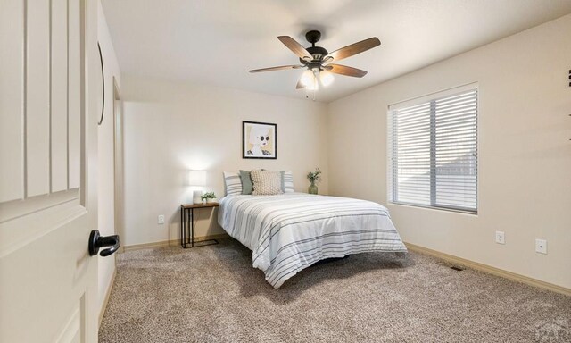 4408 Erindale Ln, Pueblo, CO 81008 - photo 23