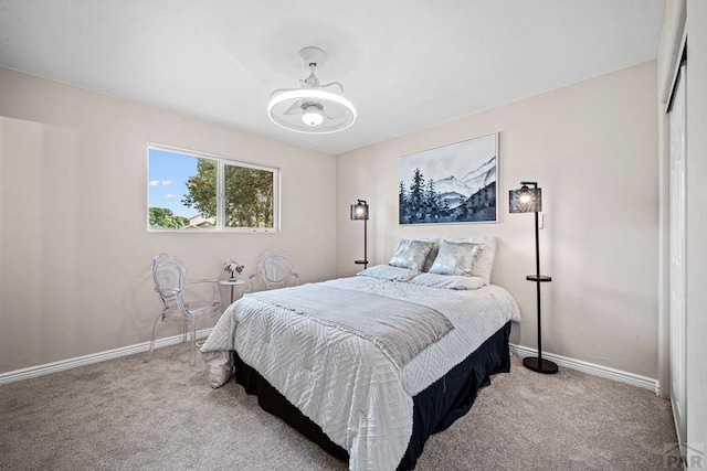 911 Candytuft Blvd, Pueblo, CO 81001 - photo 10