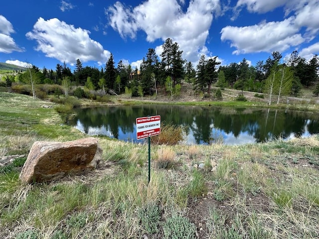 173 S Skyline Dr, South Fork, CO 81154