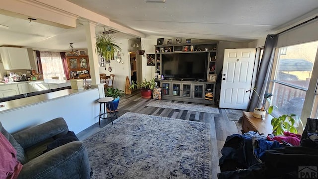 living room with lofted ceiling and wood finished floors