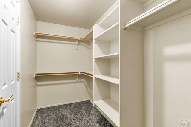 806 N Monarch Dr, Pueblo, CO 81007 - walk in closet with carpet