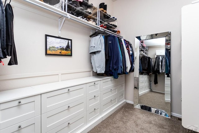 walk in closet with carpet flooring