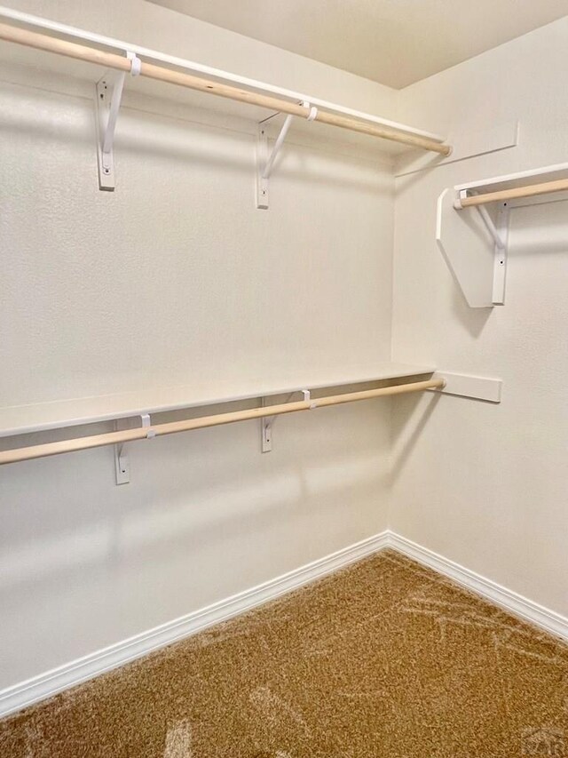 walk in closet with attic access and carpet flooring