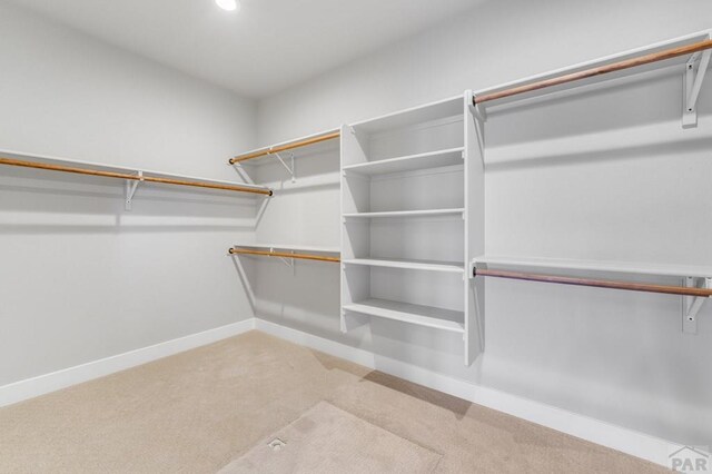 walk in closet with carpet flooring