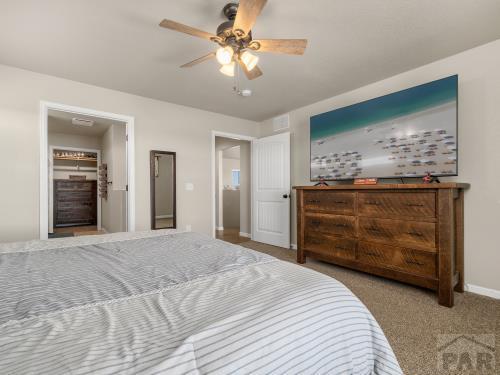 bedroom with carpet, ceiling fan, and baseboards