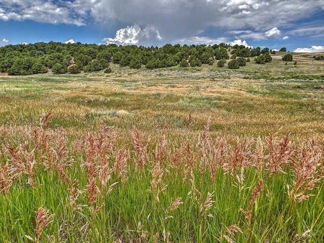 TBD-LOT21 Kiowa Rd, Westcliffe, CO 81252 - photo 11