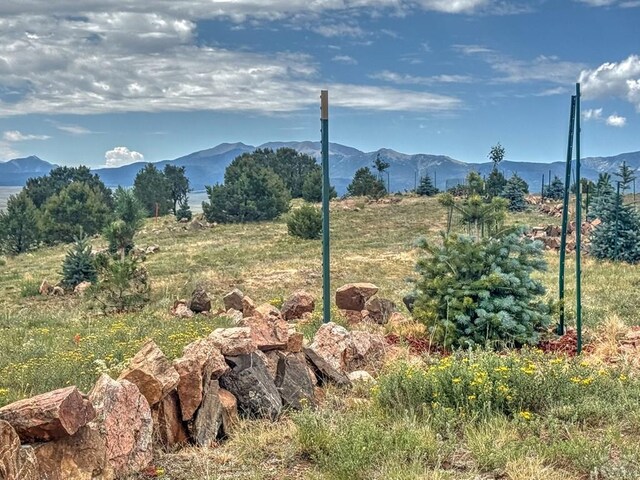 TBD-LOT21 Kiowa Rd, Westcliffe, CO 81252 - photo 7