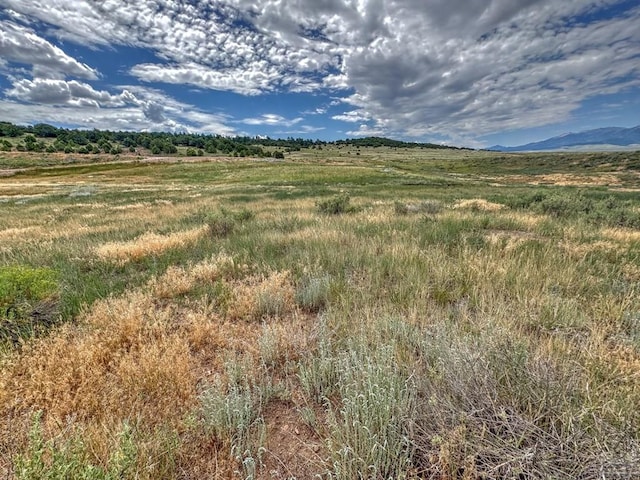TBD-LOT21 Kiowa Rd, Westcliffe, CO 81252 - photo 18