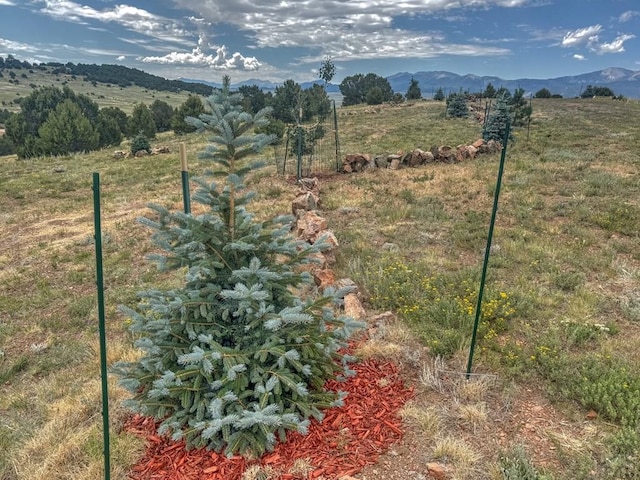 TBD-LOT21 Kiowa Rd, Westcliffe, CO 81252 - photo 6