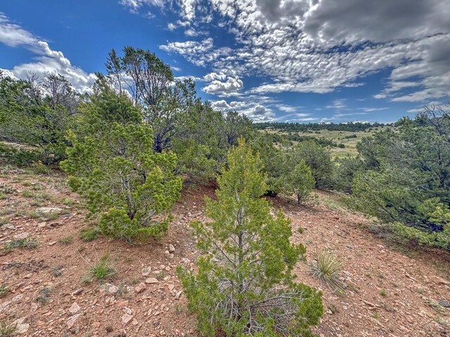 TBD-LOT21 Kiowa Rd, Westcliffe, CO 81252 - photo 20