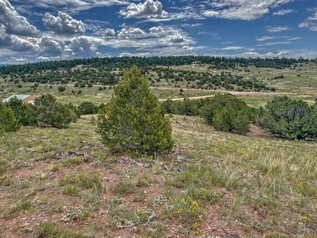 TBD-LOT21 Kiowa Rd, Westcliffe, CO 81252 - photo 21