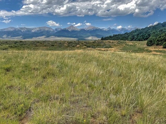 TBD-LOT21 Kiowa Rd, Westcliffe, CO 81252 - photo 15