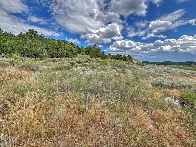 TBD-LOT21 Kiowa Rd, Westcliffe, CO 81252 - photo 16