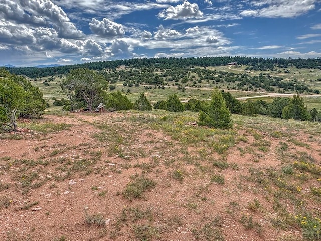 TBD-LOT21 Kiowa Rd, Westcliffe, CO 81252 - photo 22