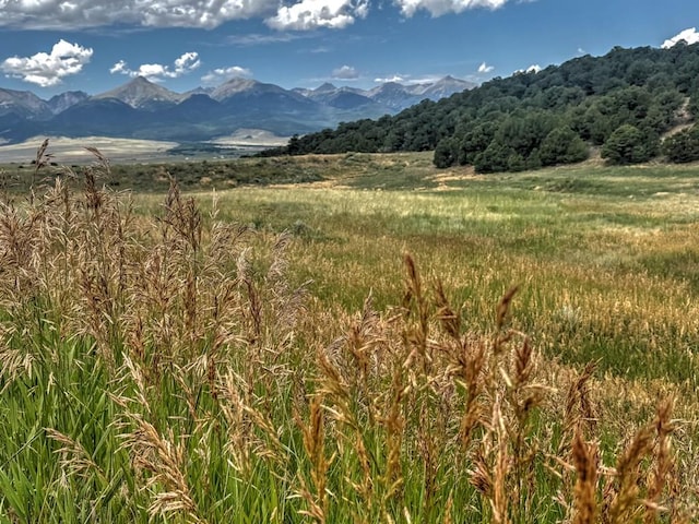 TBD-LOT21 Kiowa Rd, Westcliffe, CO 81252 - photo 12