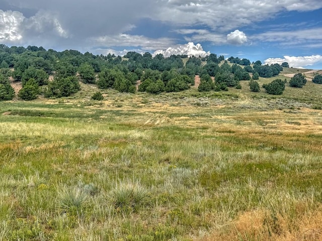 TBD-LOT21 Kiowa Rd, Westcliffe, CO 81252 - photo 14
