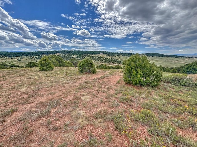 TBD-LOT21 Kiowa Rd, Westcliffe, CO 81252 - photo 24