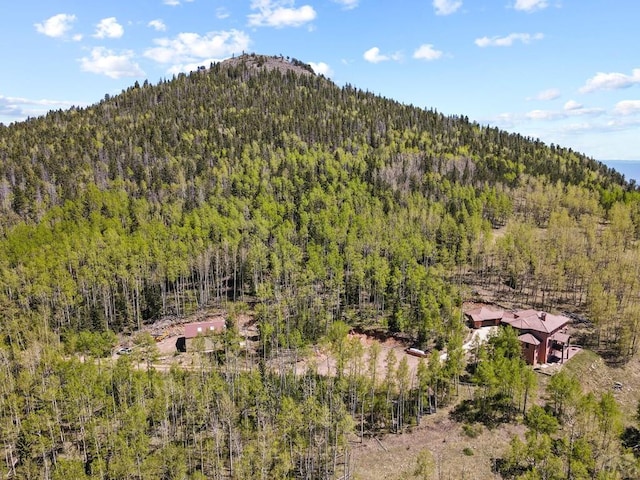 property view of mountains with a view of trees