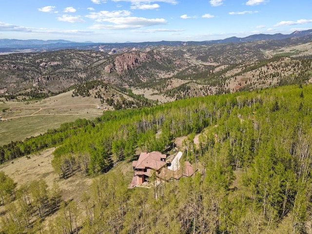 birds eye view of property featuring a mountain view