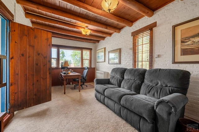 420 Lincoln St, Pueblo, CO 81004 - photo 8