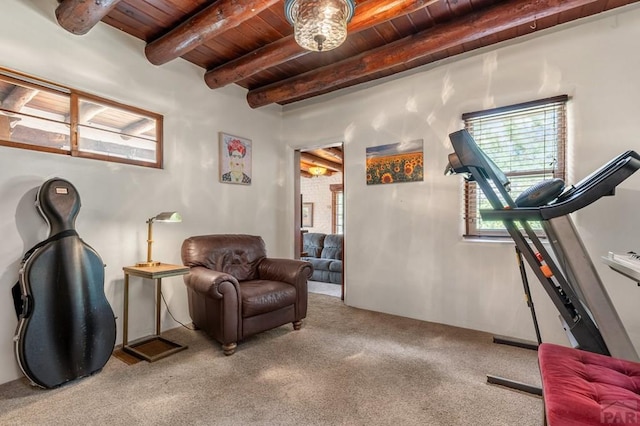 420 Lincoln St, Pueblo, CO 81004 - photo 11