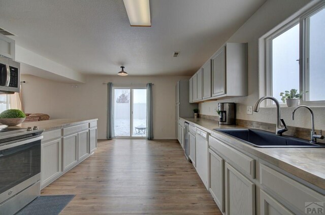 kitchen with light wood-style flooring, stainless steel appliances, a sink, white cabinets, and light countertops