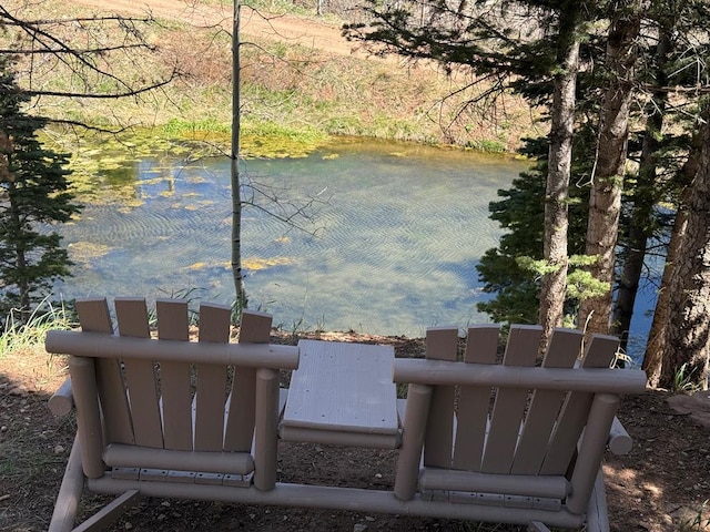 317 Parsons Rd, La Veta, CO 81055 - water view
