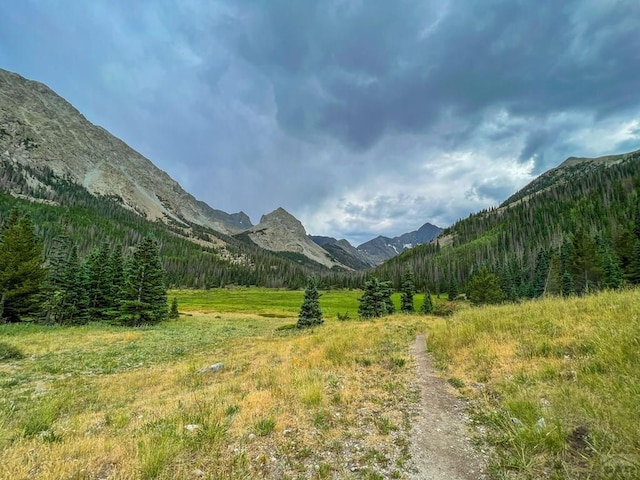 317 Parsons Rd, La Veta, CO 81055 - mountain view featuring a heavily wooded area