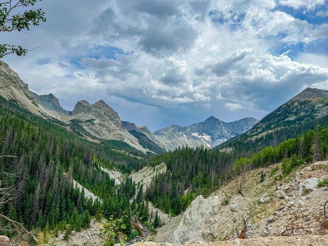 317 Parsons Rd, La Veta, CO 81055 - view of mountain background featuring a forest