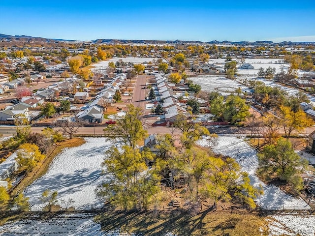 325 S Raynolds Ave, Canon City, CO 81212 - photo 43