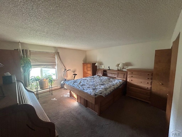 15840 Teak Pl, Elbert, CO 80106 - bedroom featuring dark colored carpet, a textured ceiling, and baseboard heating